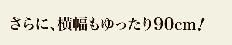 ɁA90cm