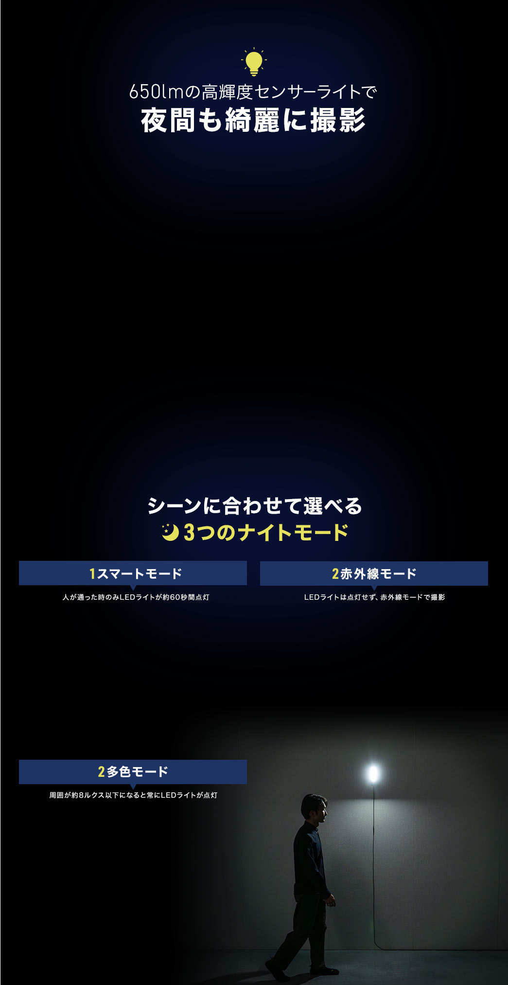 650lm̋PxZT[CgŖԂYɎBe