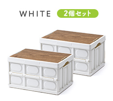 100-FC002-2W̉摜