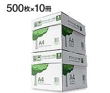 300-CP1A4-2̉摜